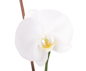 Similar image 2680827