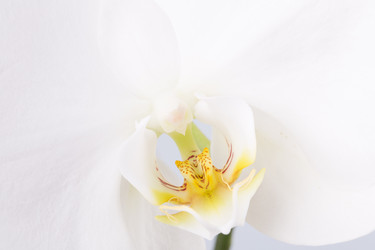 Similar image 2680828