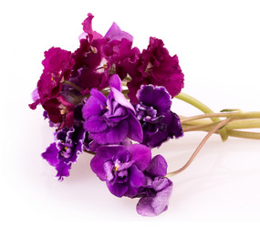 Similar image 2680834