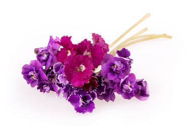 Similar image 2680837