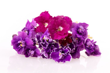 Similar image 2680838