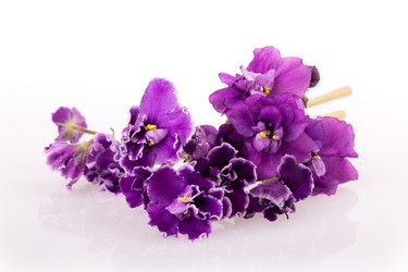 Similar image 2680843