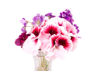 Similar image 2680982