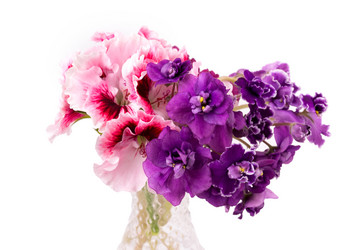 Similar image 2681063