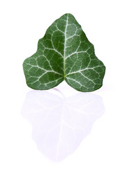 Similar image 2681440