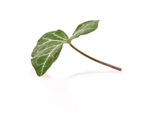 Similar image 2681441