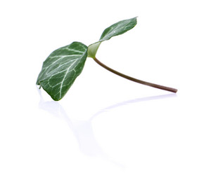 Similar image 2681450