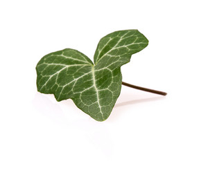 Similar image 2681451