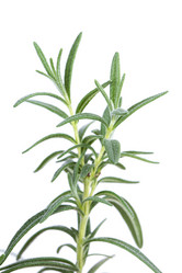 Similar image 2681476