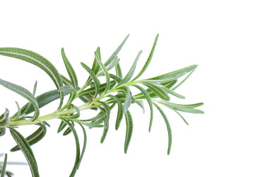 Similar image 2681480