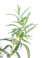 Similar image 2681481