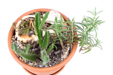 Similar image 2681483