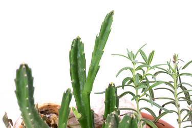 Similar image 2681485