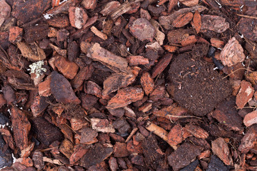 Similar image 2681504