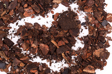 Similar image 2681505