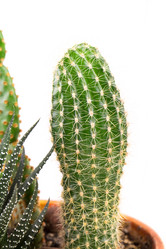 Similar image 2681542