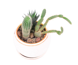 Similar image 2681546