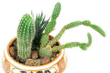 Similar image 2681547