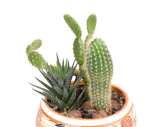 Similar image 2681548