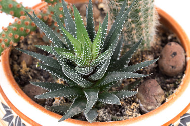 Similar image 2681550