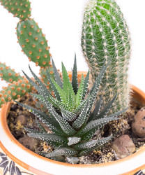 Similar image 2681551