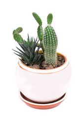 Similar image 2681552