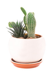 Similar image 2681553