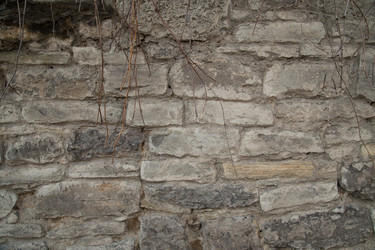 Similar image 2681569