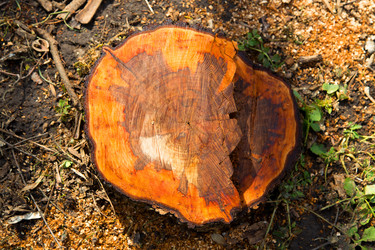 Similar image 2681579