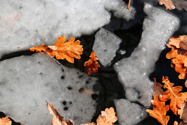 Similar image 2681614