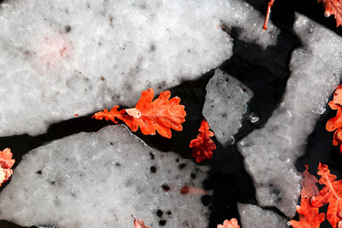 Similar image 2681616