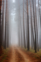 Similar image 2681697