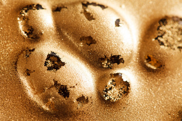 Similar image 2681808