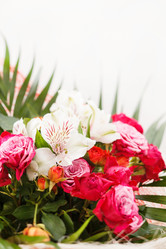 Similar image 2681817