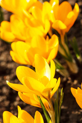 Similar image 2681825