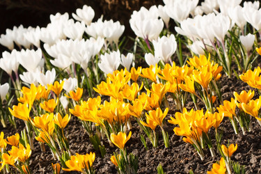 Similar image 2681826