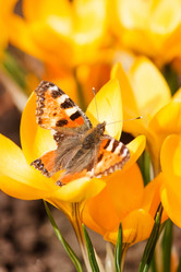 Similar image 2681829