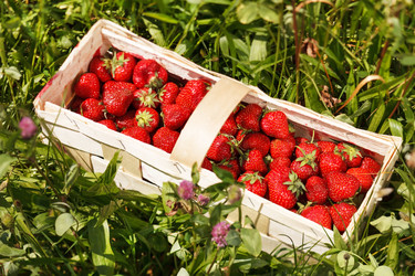 Similar image 2681848