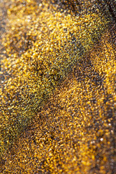 Similar image 2681850