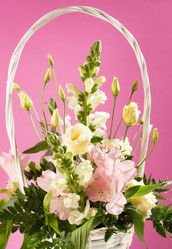 Similar image 2681892