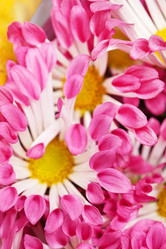 Similar image 2681919