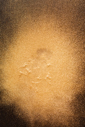 Similar image 2681918