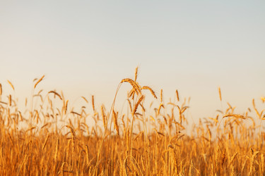 Similar image 2681992