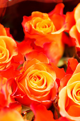 Similar image 2682003