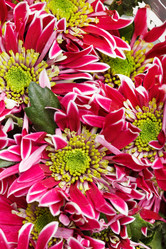 Similar image 2682005