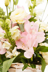 Similar image 2682008