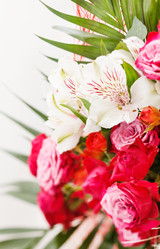 Similar image 2682035