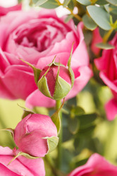 Similar image 2682102