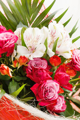 Similar image 2682118