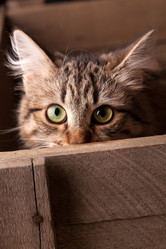 Similar image 2682158